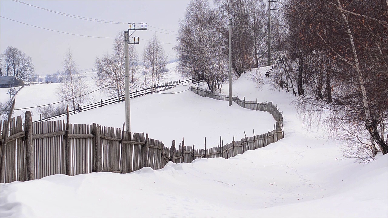 冬天的风景在森林的道路上覆盖着积雪视频素材