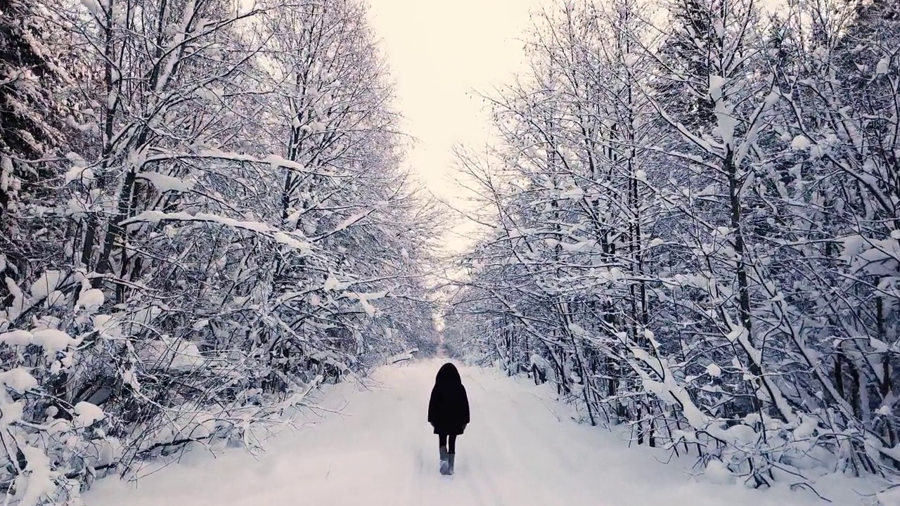 一个女人走在雪林里视频素材