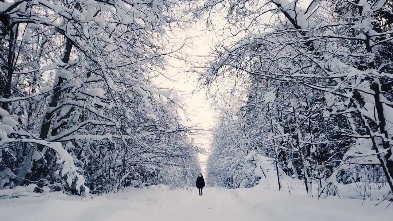 一个女人走在雪林里视频素材