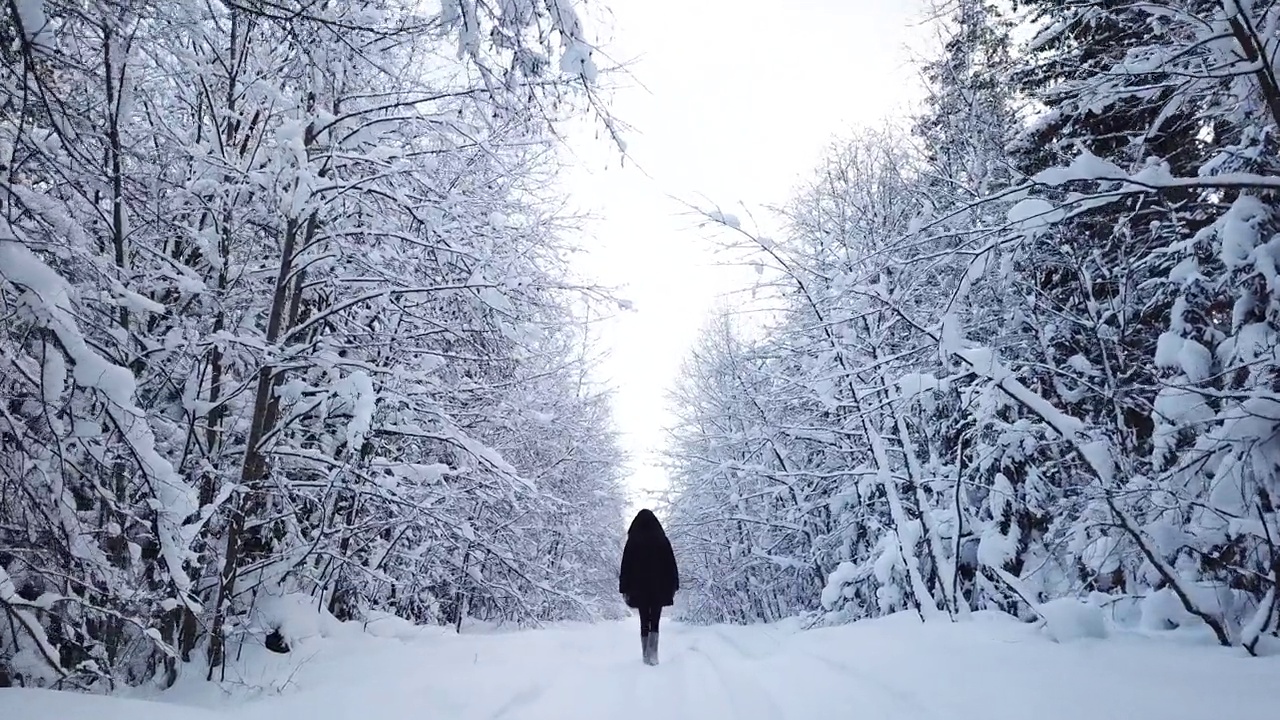 一个女人走在雪林里视频素材