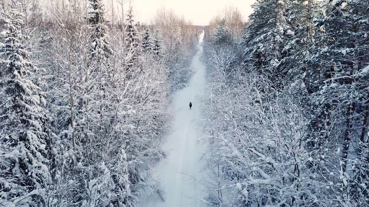 一个女人走在雪林里视频素材