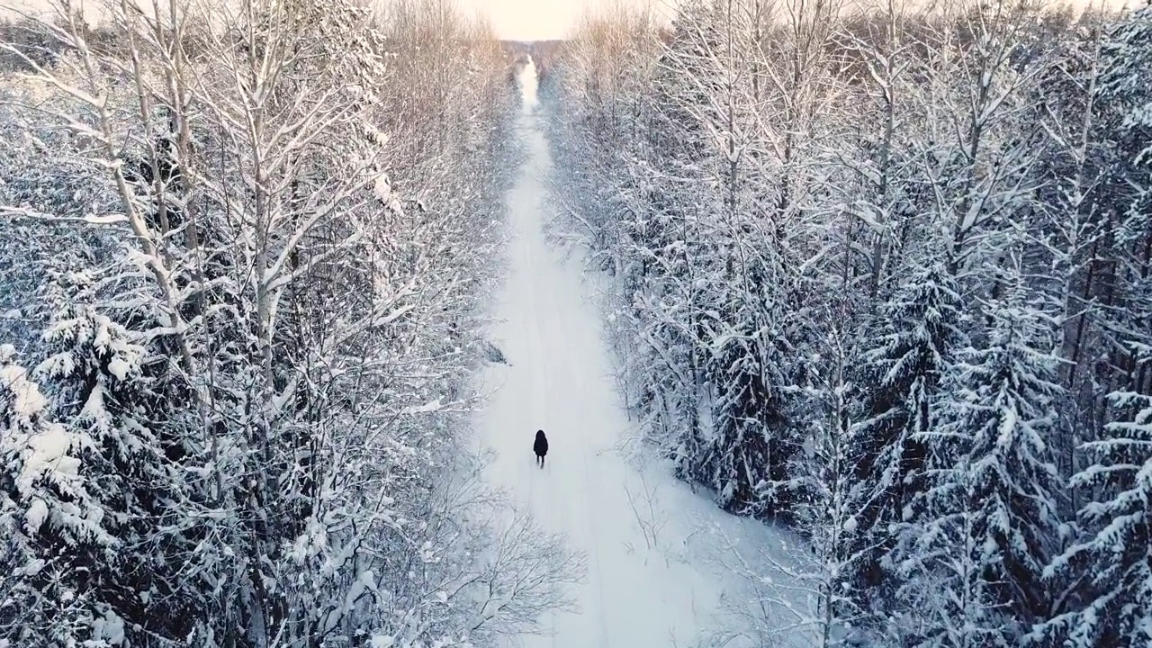 一个女人走在雪林里视频素材