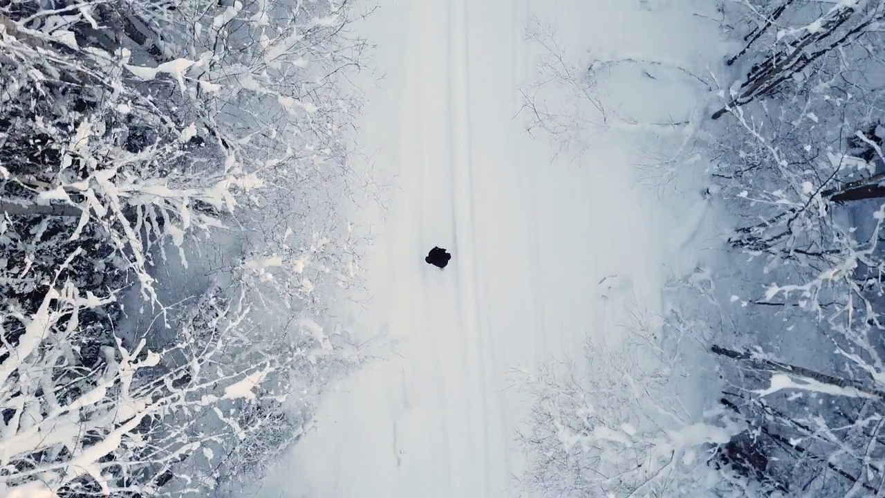 一个女人走在雪林里视频素材