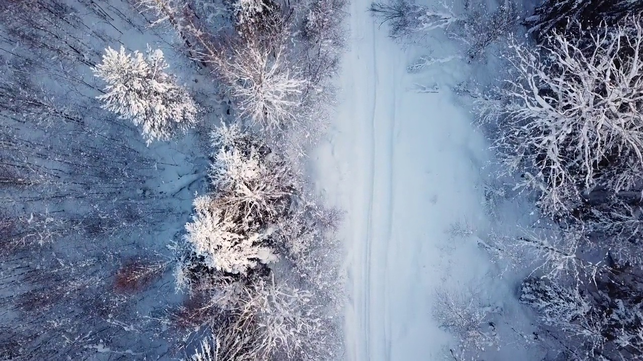 两个人走在雪林里视频素材