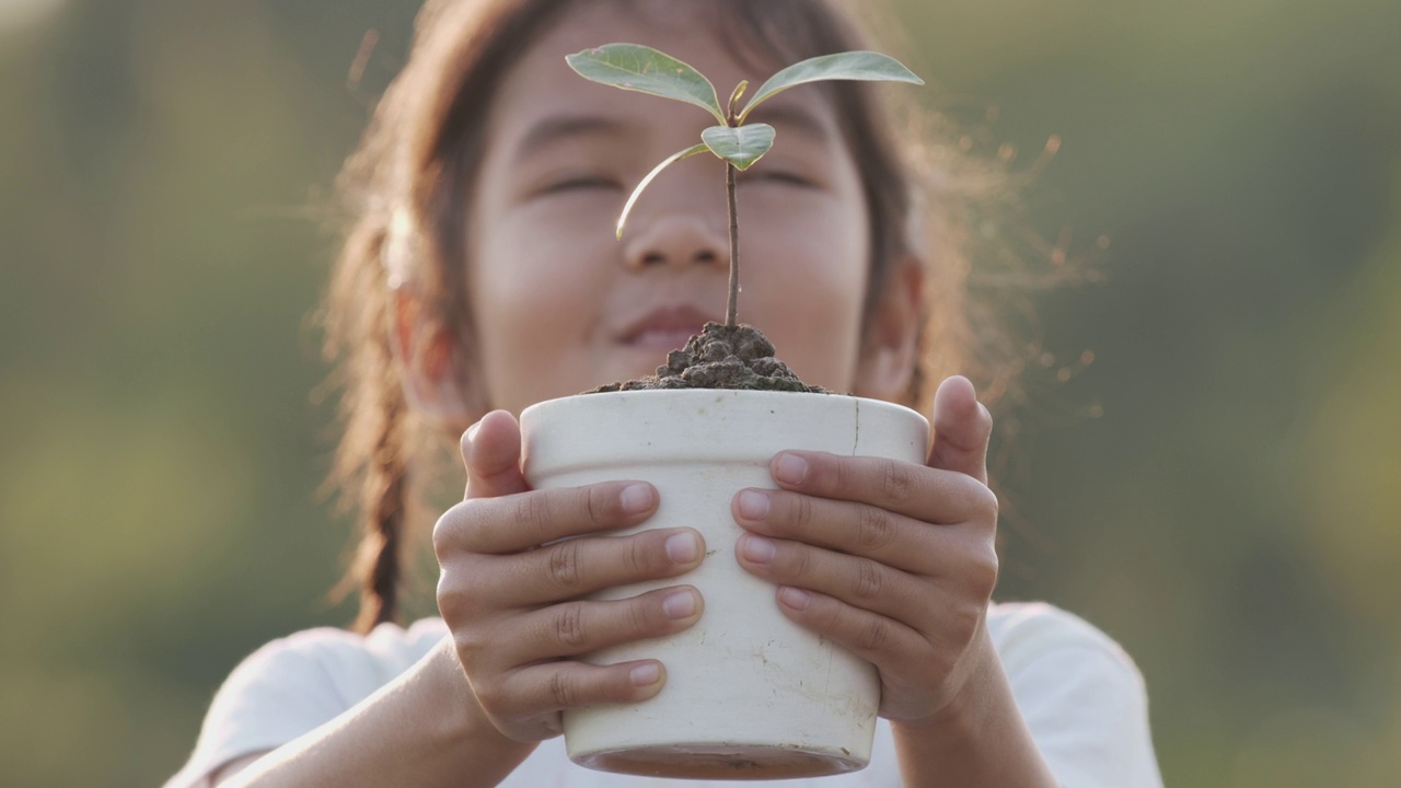 亚洲小女孩拿着花盆与新的幼苗，展示给相机。视频素材