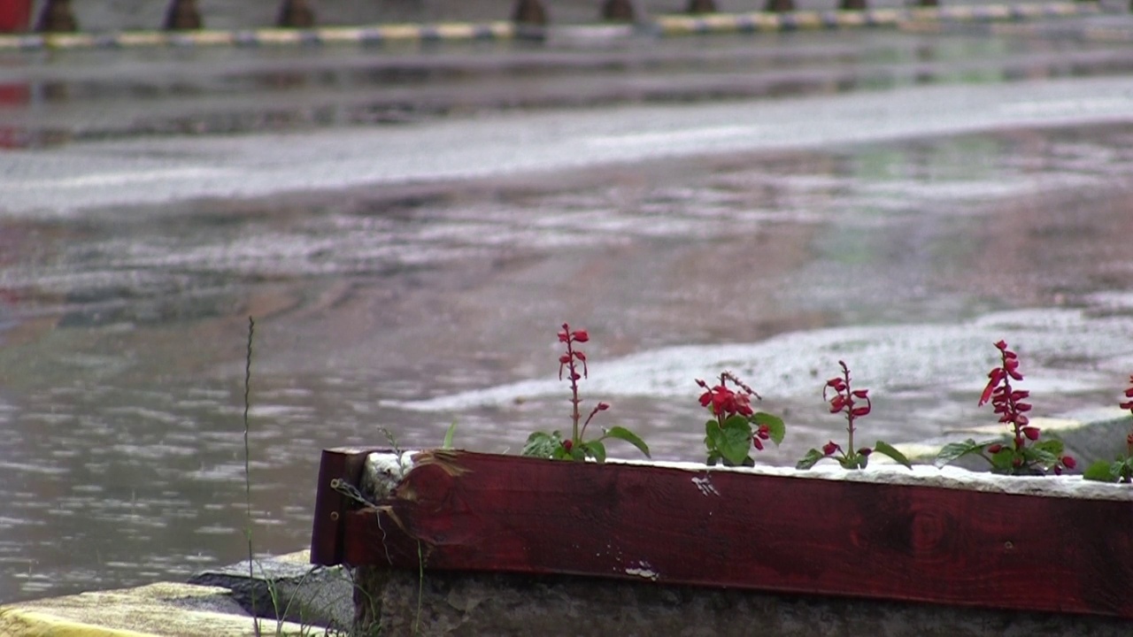 雨中汽车交通视频素材