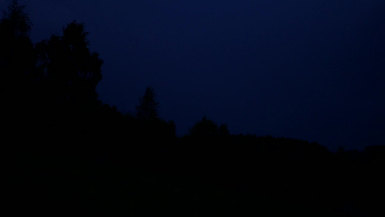 夜间落叶林上空的闪电视频素材