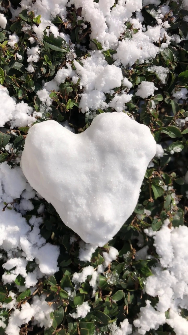 冬天花园的心形雪球。视频素材