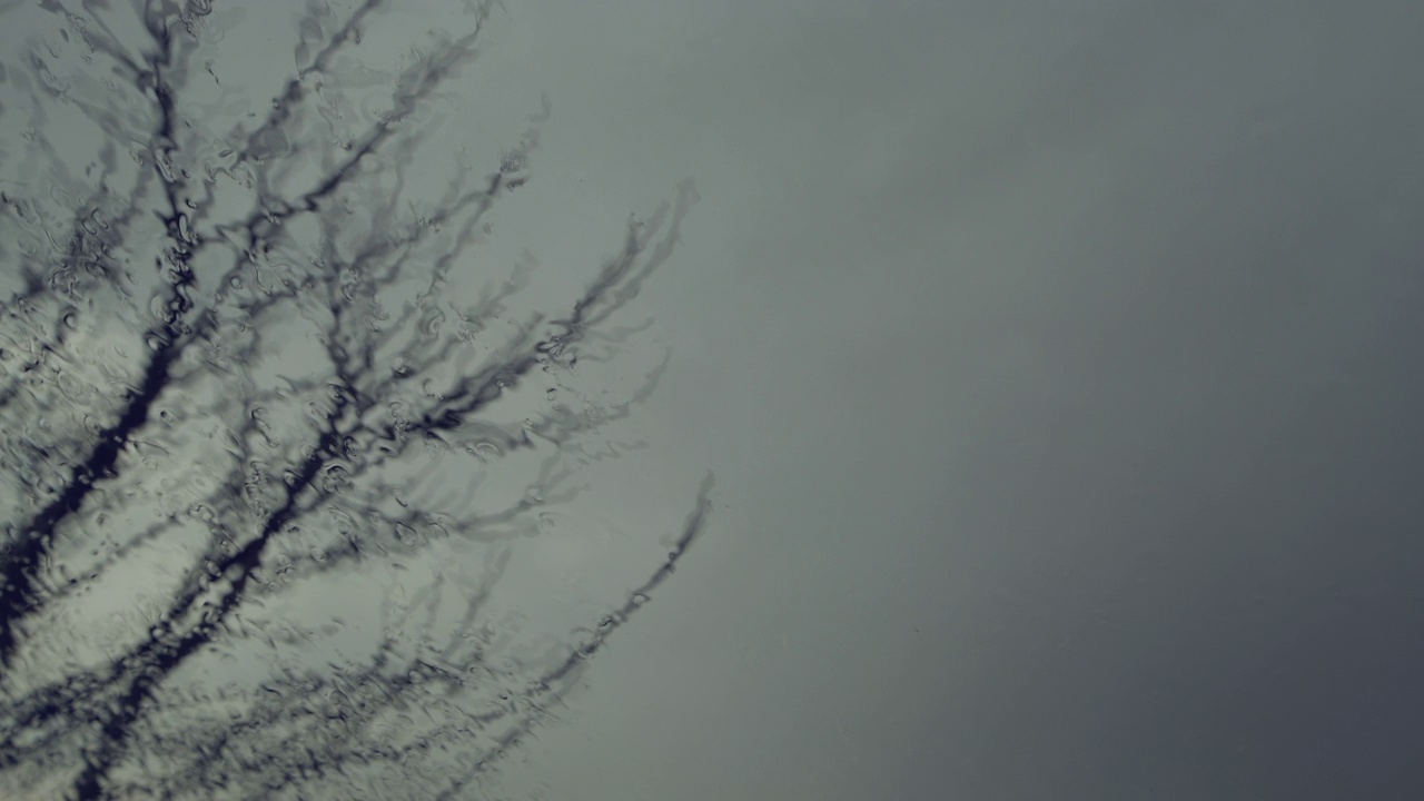 雨落在窗玻璃上，光秃秃的树枝在背景里视频素材