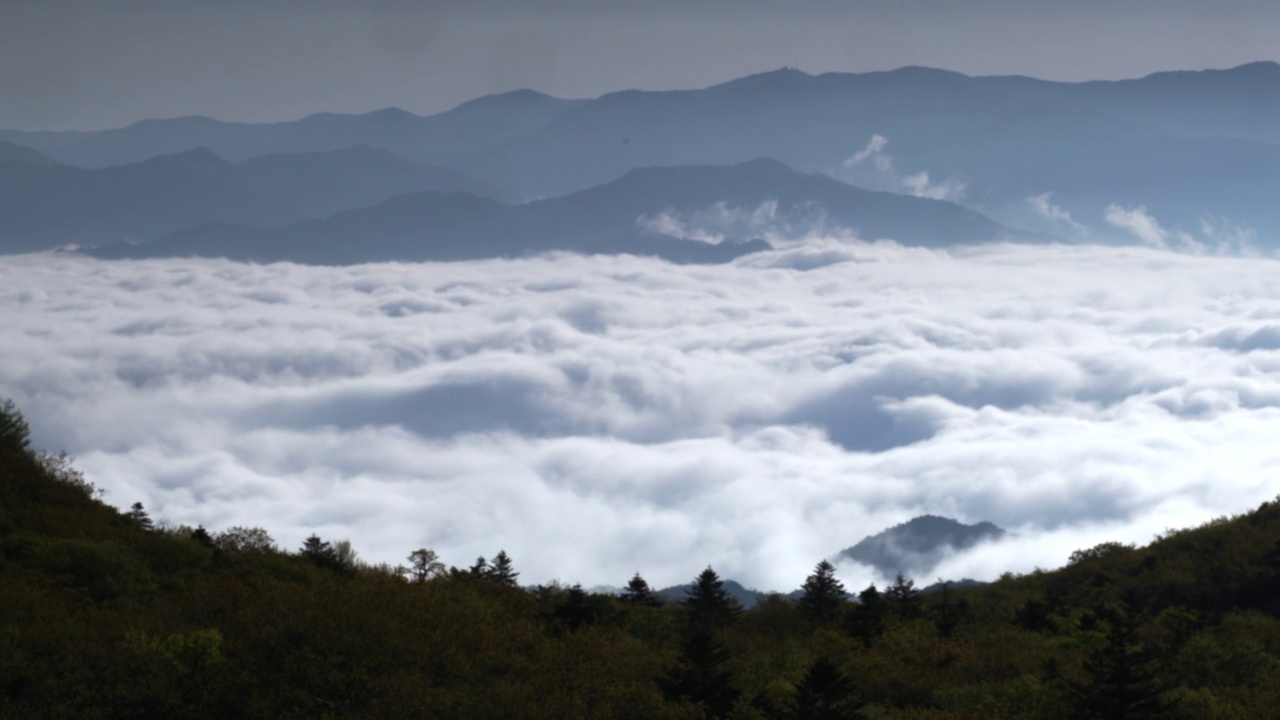 云雾缭绕的大岩山山顶。/江原道阳九郡。韩国视频素材