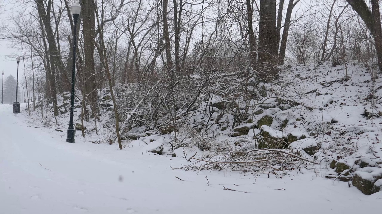 在寒冷的冬天下雪的场景视频素材