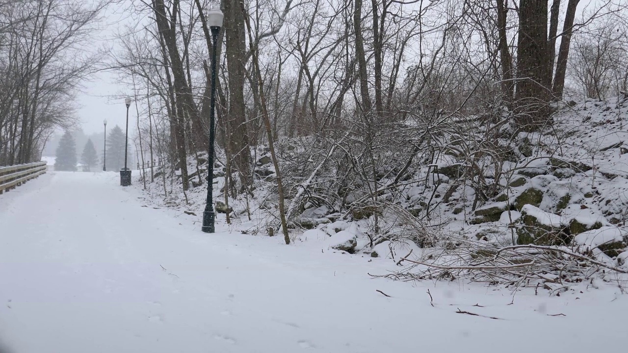 雪覆盖了公园的步行道，雪花飘落视频素材