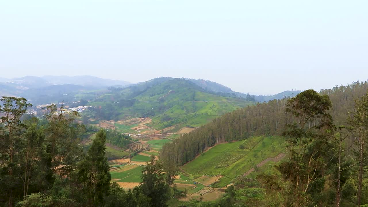 茶园山景与乡村农田上午视频素材