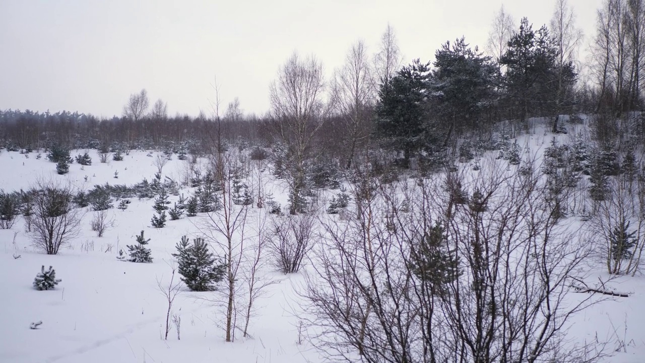 白雪覆盖的小山，缓缓飘落视频素材