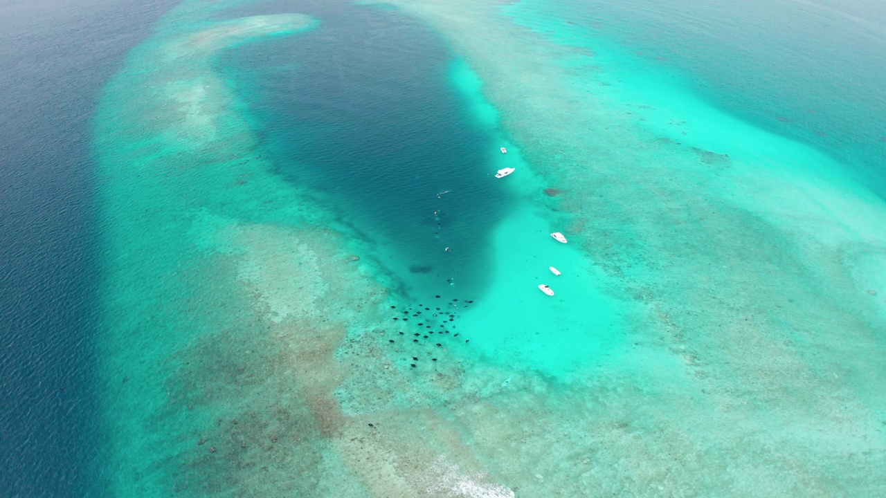 在海洋和热带岛屿上的风景优美的空中飞行。Fulhadhoo、马尔代夫视频素材