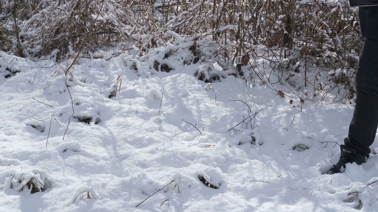 一个男人在冬天的雪地里行走视频素材