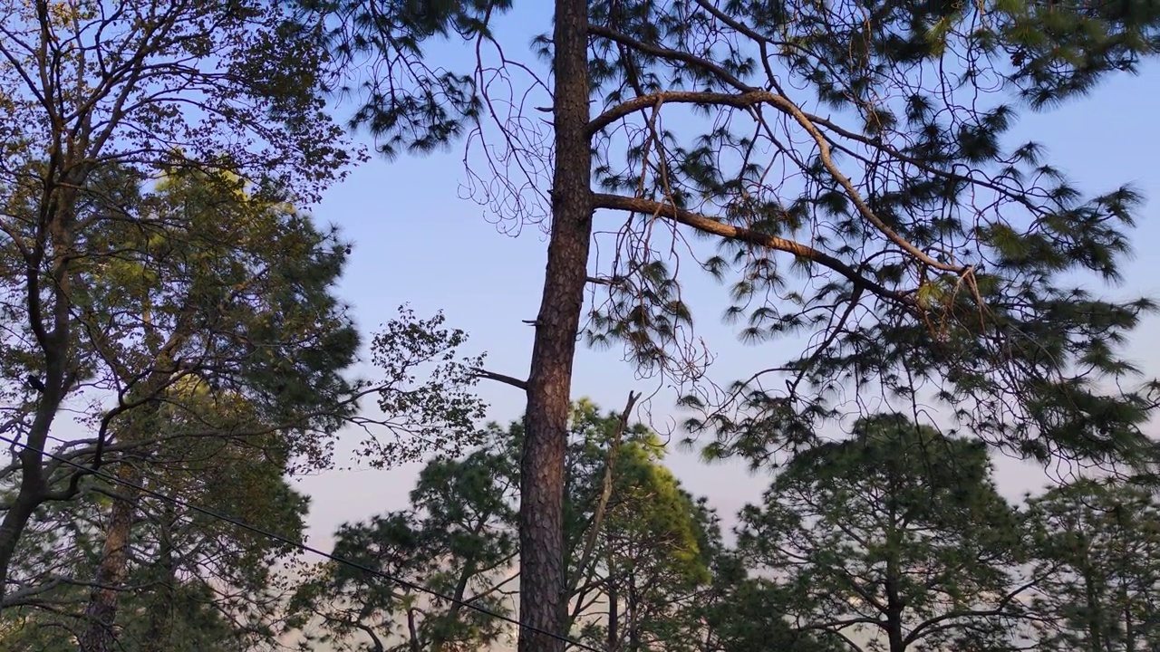 卡索里——喜马偕尔邦的一个小山丘站视频素材