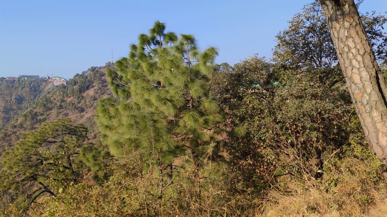 卡索里——喜马偕尔邦的一个小山丘站视频素材