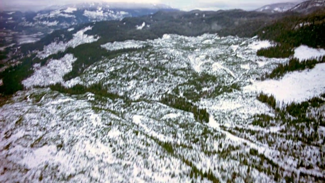 在雪山上空飞行。看那绿油油的松树，上面撒满了雪。天空是厚厚的白色的雾和云。视角以令人眼花缭乱的方式前后倾斜。看到下面覆盖着白雪的圆形山丘和山脉。视频素材