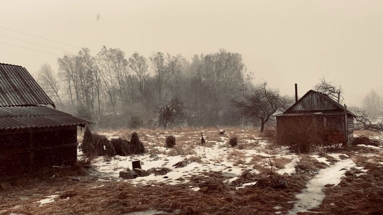 乡村的冬天有风雪。暴风雪和雪在乡村。视频素材