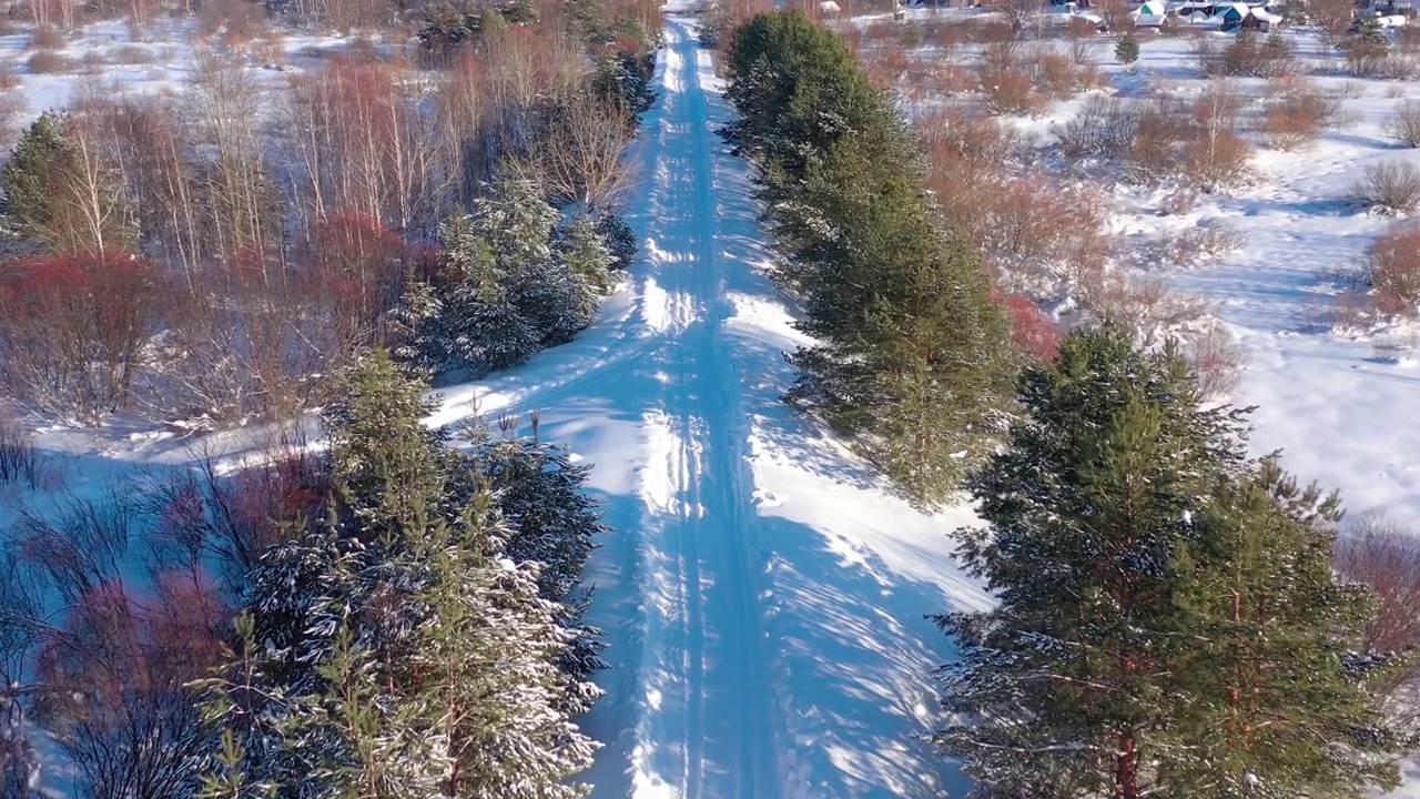 从无人机上的鸟瞰图在下雪的冬季森林乡村。俄罗斯的冬天视频素材