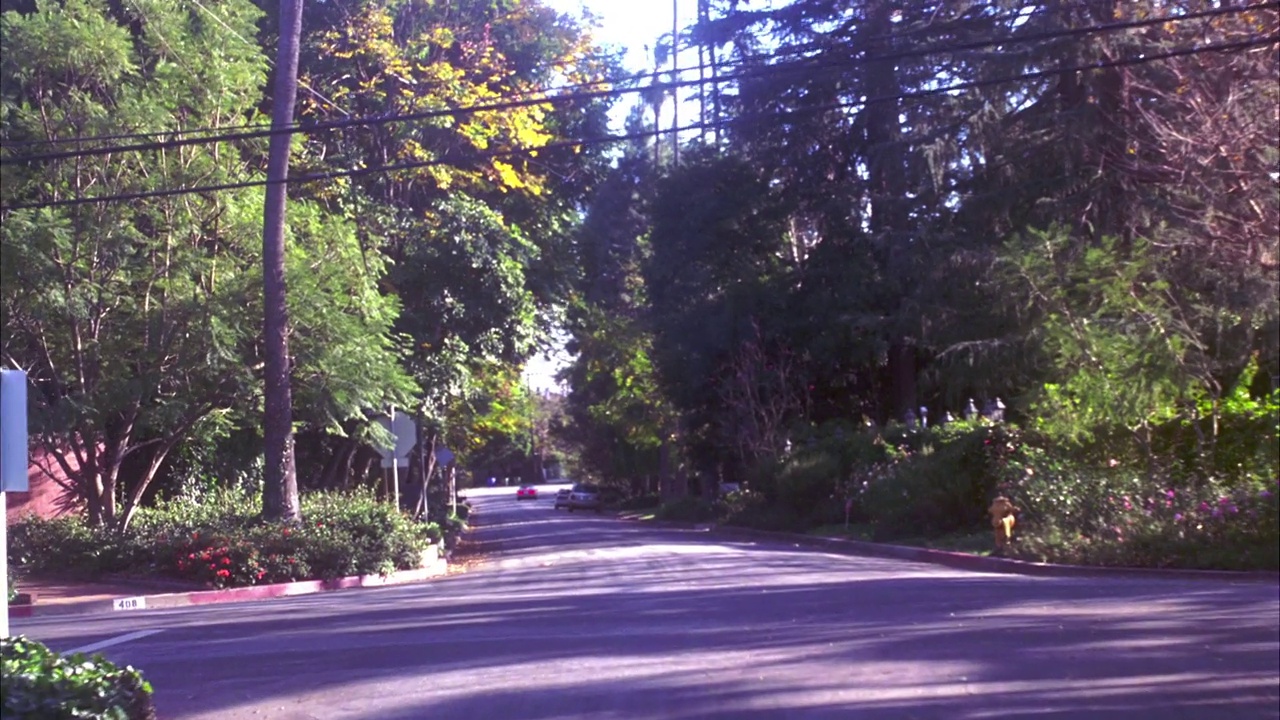 中等角度，移动pov，在上层社区的山路上直接向前行驶，棕榈树，房子或豪宅，葱茏的树木，草坪，庭院。可能是郊区。布伦特伍德。视频素材