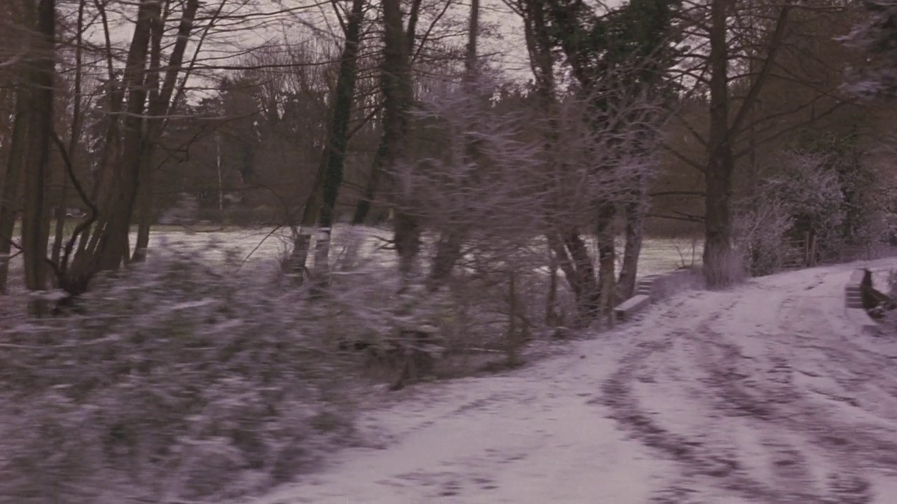 加工板直左的雪乡。路旁的铁丝网。通过小桥进入背景。许多灌木和乔木，一些常青树或松树。背景中的田野或空地，可能是农场。森林,森林。冬天。视频素材