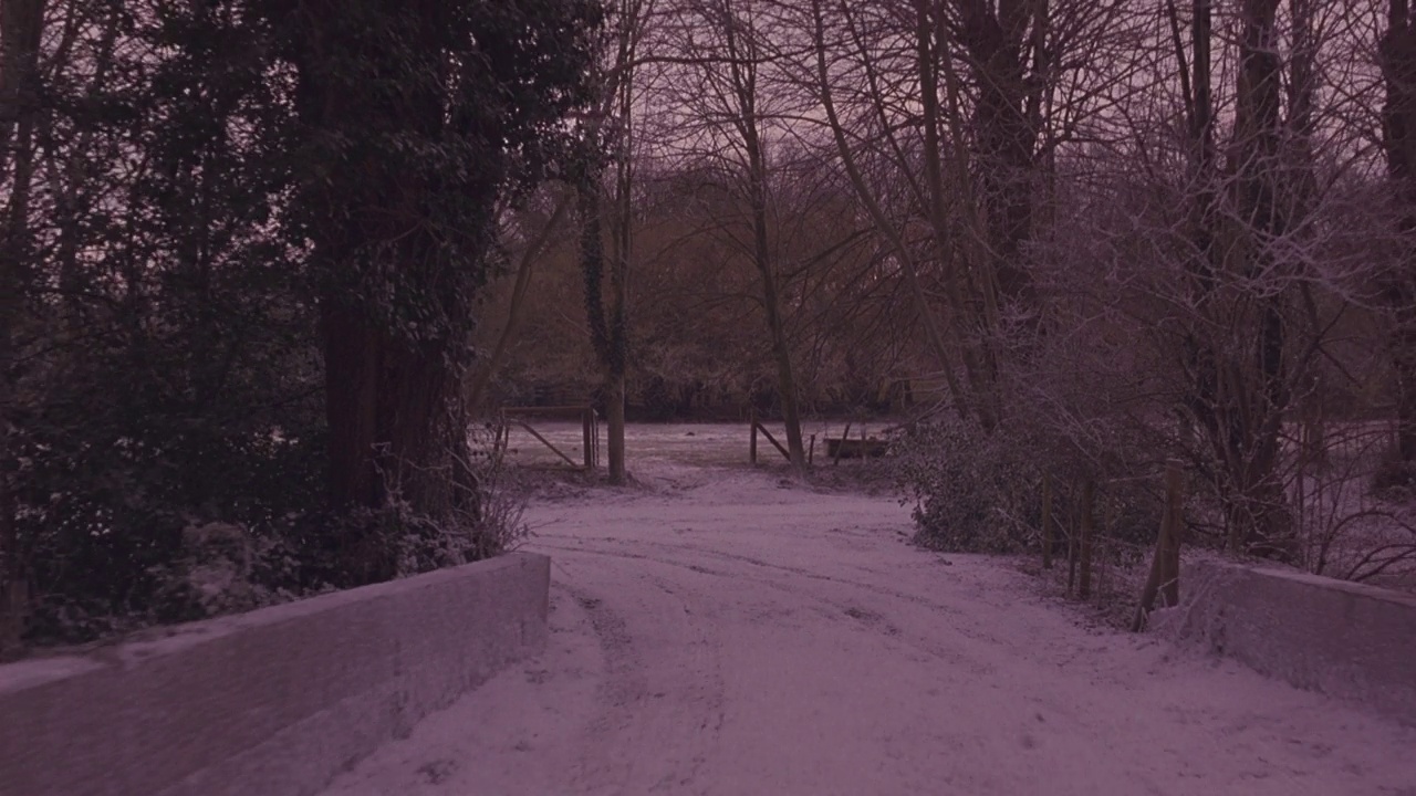 加工印版直背的乡村路穿过树林或树林。积雪覆盖的道路两旁几乎都是光秃秃的灌木和树木。路上的轮胎印。这条路在一个岔路口蜿蜒曲折，穿过一座小桥。背景中可见的田野，可能是农场。开车。视频素材