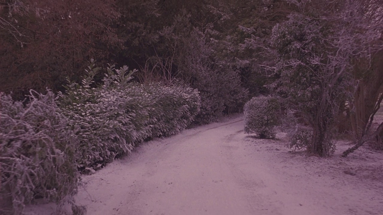 加工印版直背的乡村路穿过树林或树林。白雪覆盖的道路两旁是绿色的灌木和树木。路上的轮胎印。这条路在一个岔路口蜿蜒曲折，穿过一座小桥。背景中可见的田野，可能是农场。开车。视频素材