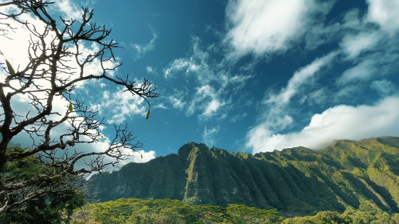 夏威夷的Ko'olau山。视频素材