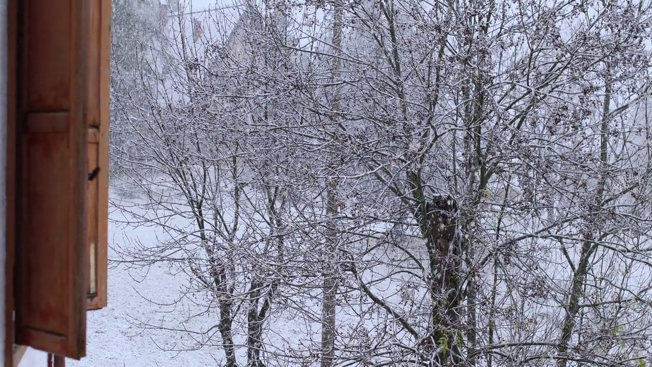 郊区的一个街区下雪了视频素材