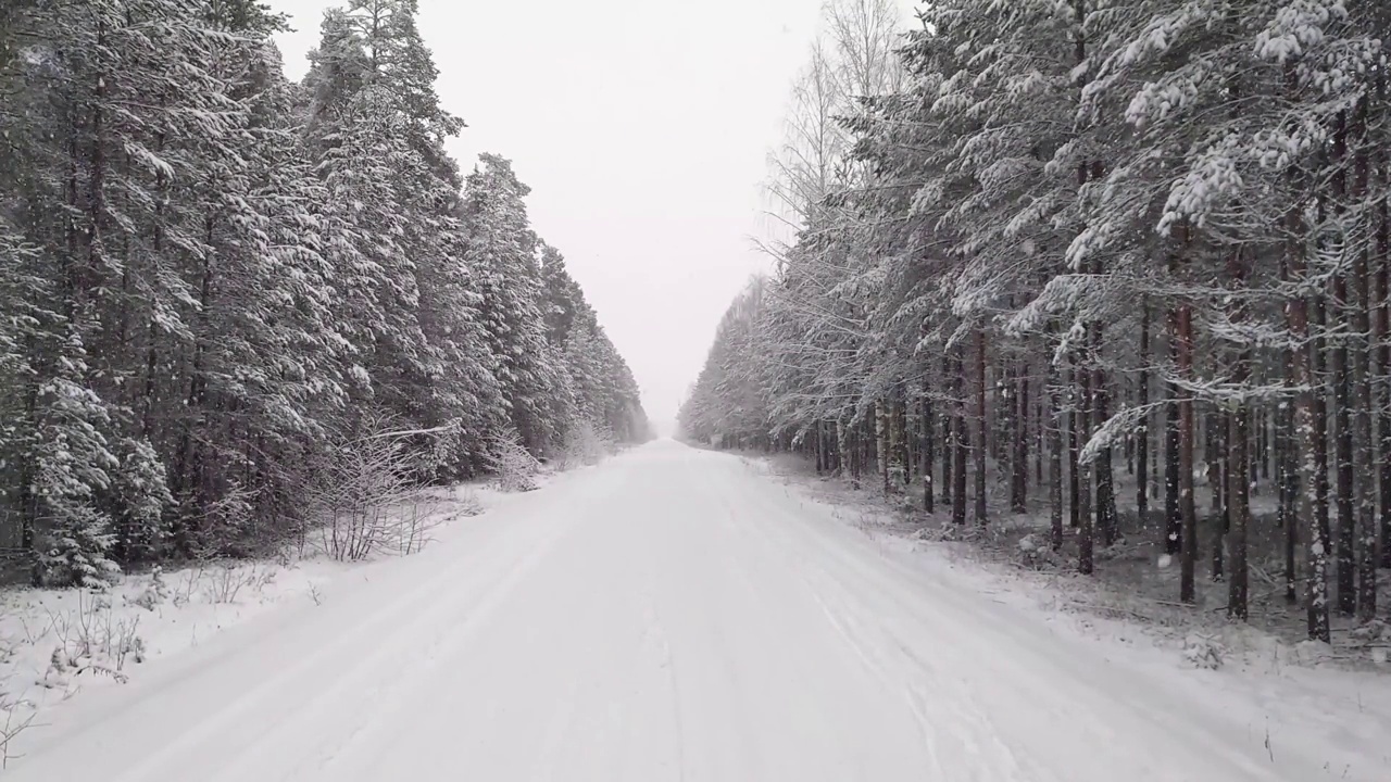 雪落在树林里笔直的路上视频素材