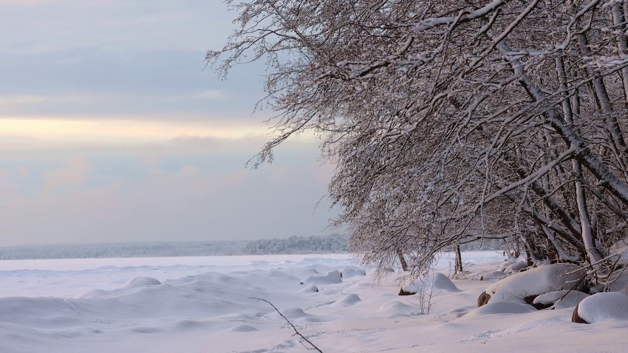 美丽的冬季景观与白雪皑皑的田野和树枝在白霜在日落霜冻的一天视频素材