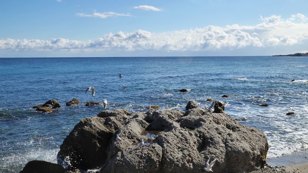 成群的海鸥飞近爱奥尼亚海的卵石海滩。一群年轻的海鸥在海边。自然美。视频素材