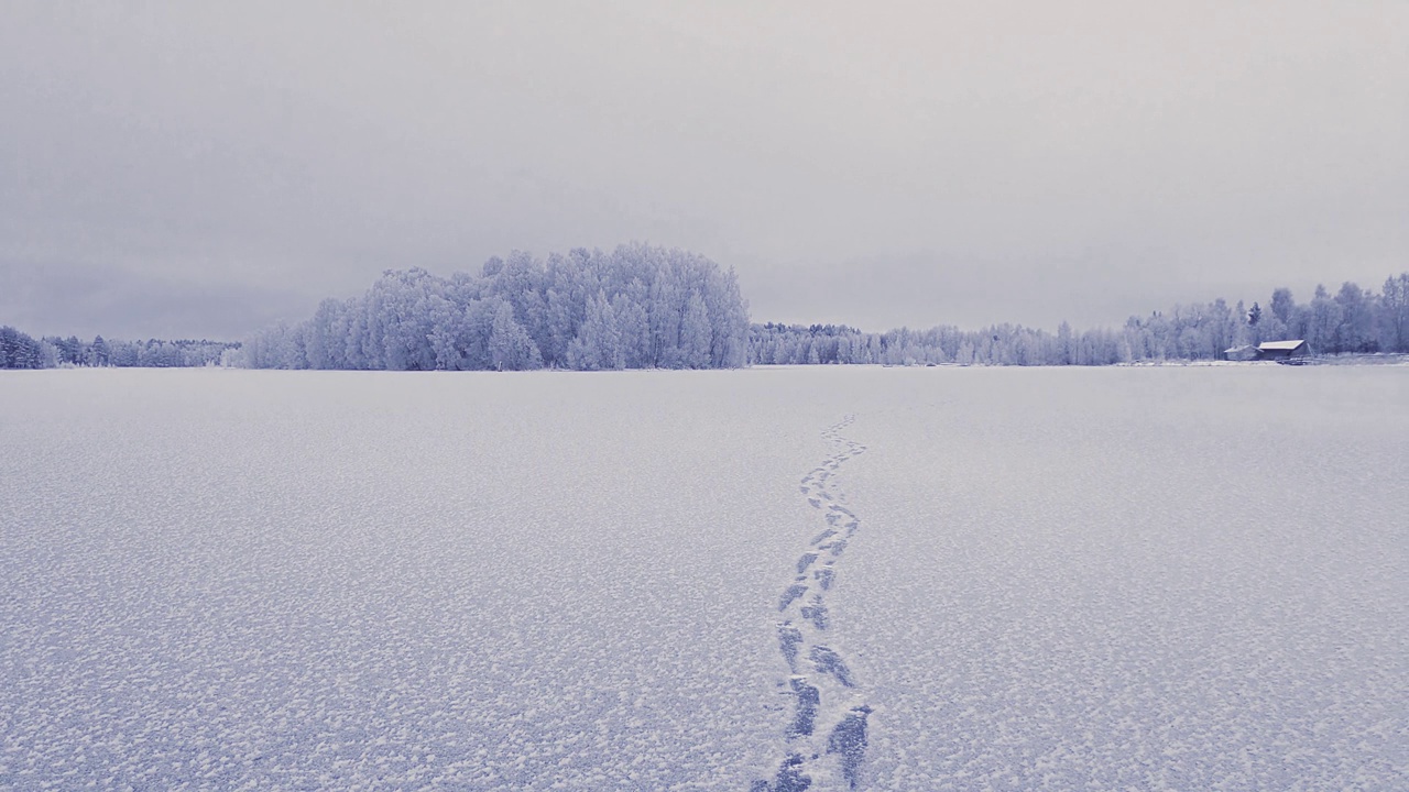 冰湖上雪地上的脚印视频素材