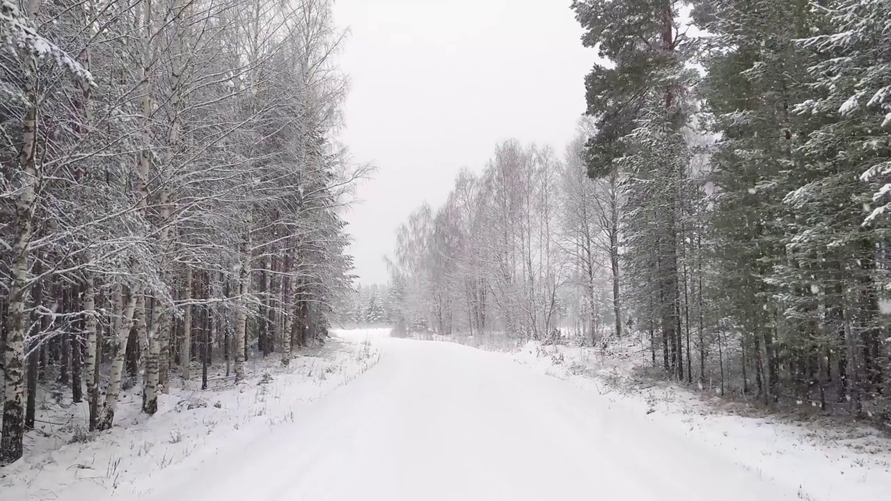 下雪时在树林里的路视频素材