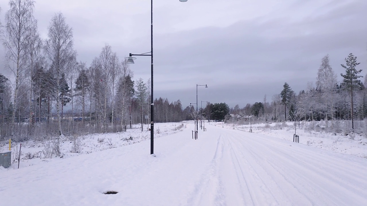 白雪覆盖的道路两旁是树视频下载