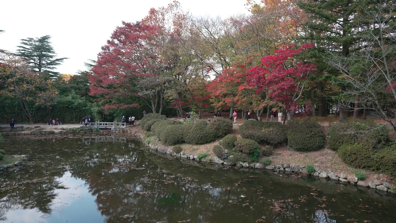 韩国庆州——2021年11月:佛国寺视频素材