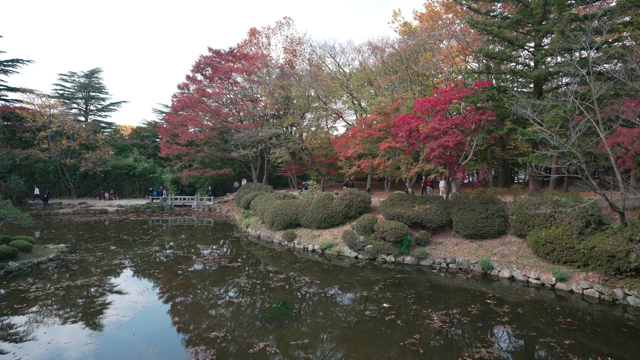 韩国庆州——2021年11月:佛国寺视频素材