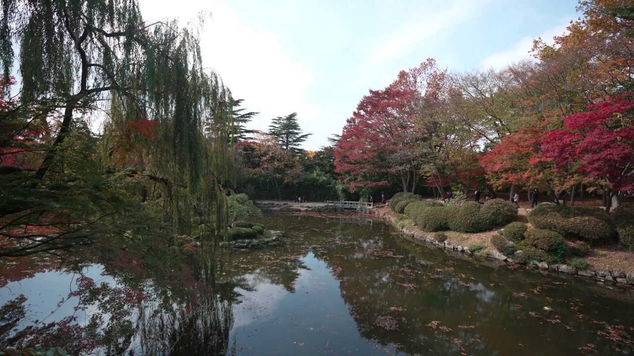 韩国庆州——2021年11月:佛国寺视频素材