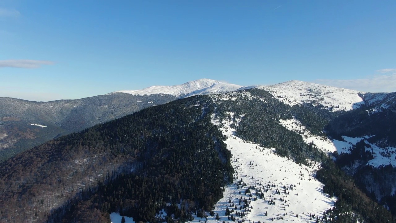 在雪山的冬季森林的无人机视图。喀尔巴阡山。乌克兰。佩特。视频素材