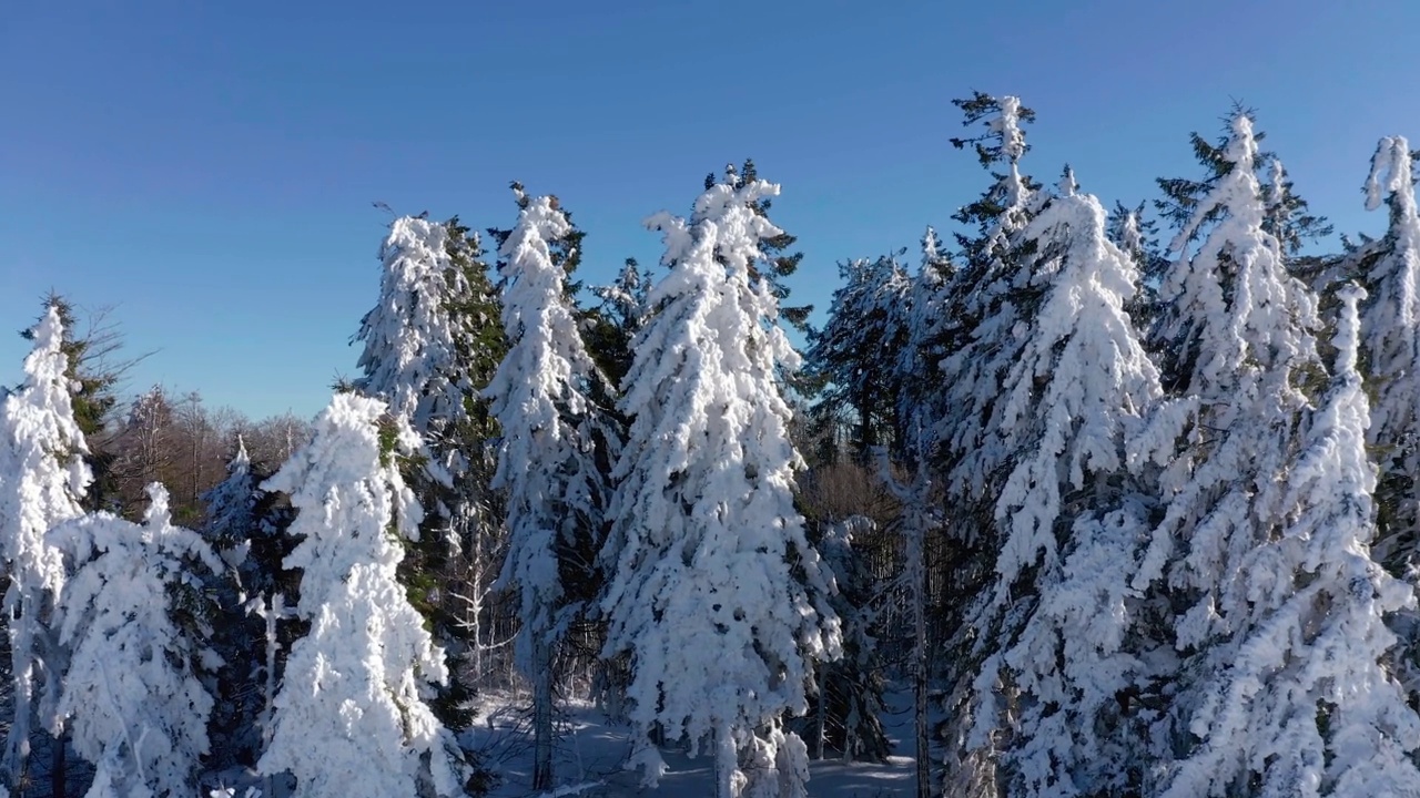 从积雪覆盖的山上的一架无人机上观看。视频素材