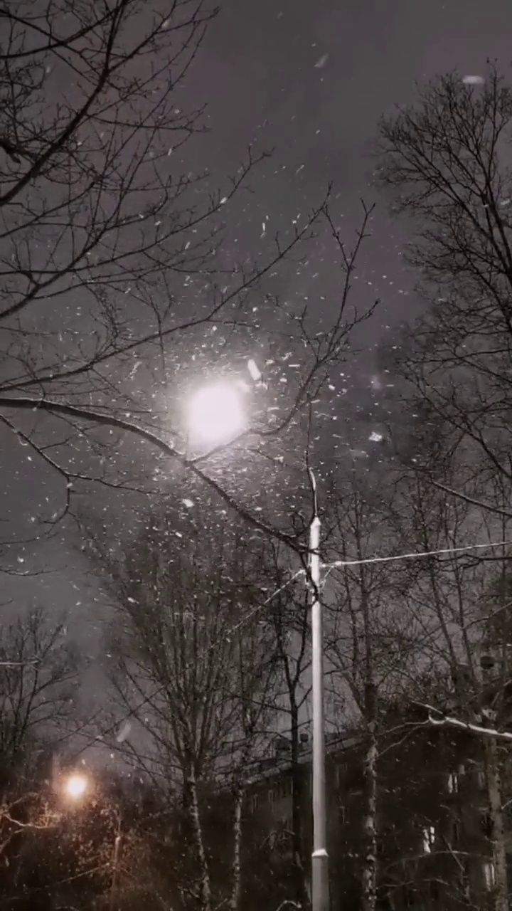 大雪花在路灯的灯光下慢慢地飞了起来。视频下载