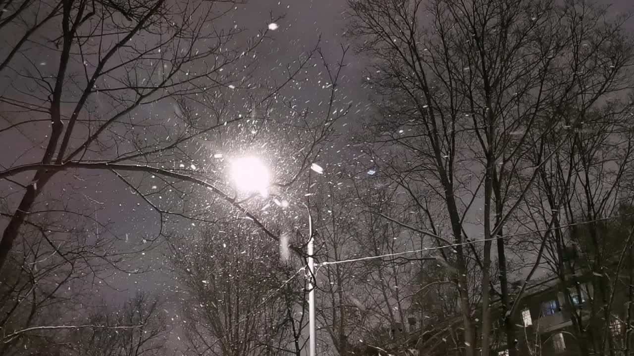 冬夜路灯飘落雪花。视频下载