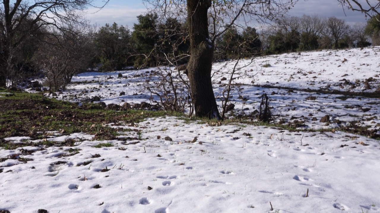 雪地上的痕迹视频素材