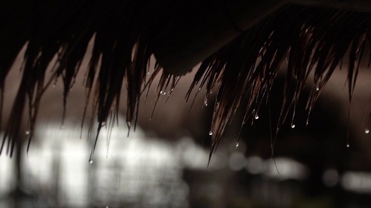 雨水从小屋上落下视频素材