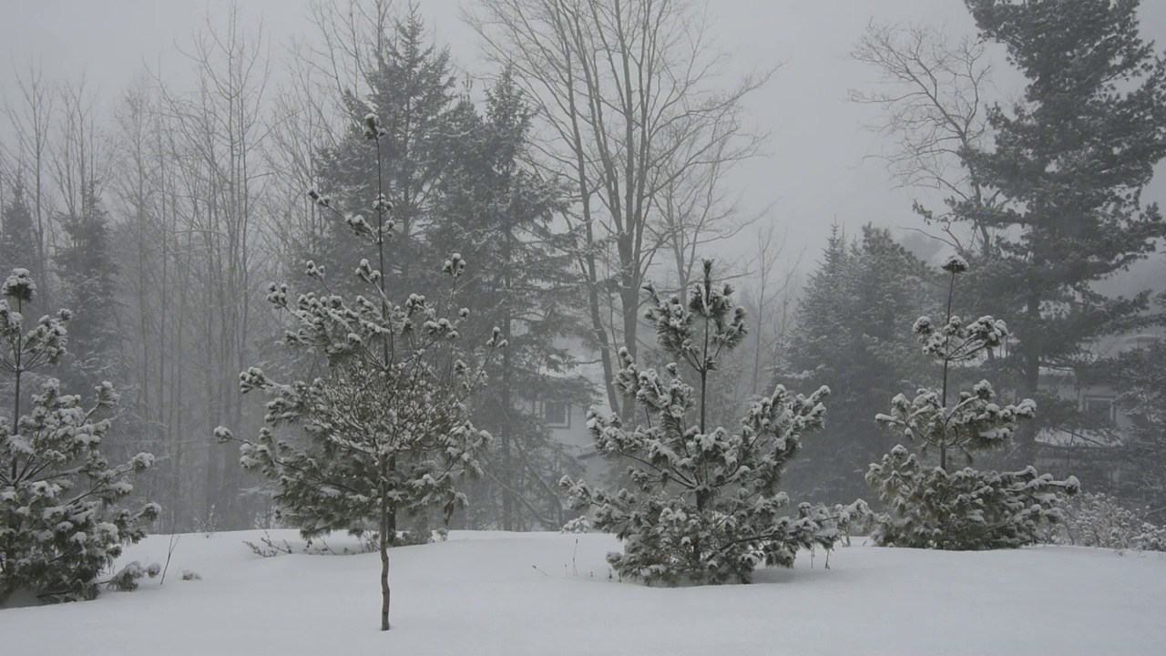 加拿大乡村的降雪日视频素材