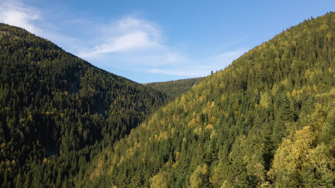 在秋天明亮的日子里，从空中俯瞰高耸的山丘和黑色的松树林。野生山林的惊人景色视频素材