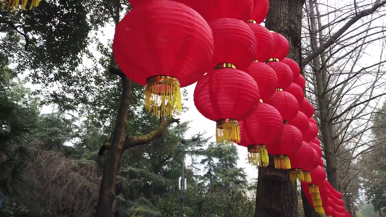 在中国，树上挂着红色的中国灯笼视频素材