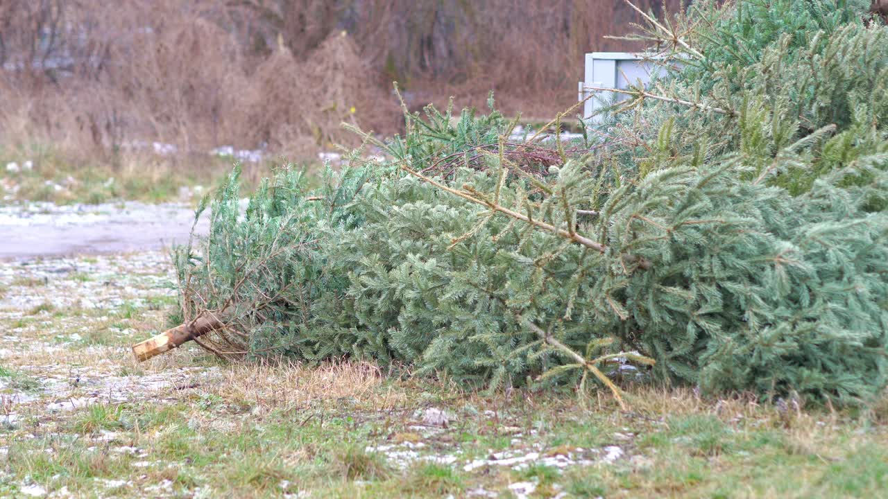 装满圣诞树的垃圾容器4k慢镜头60fps视频素材